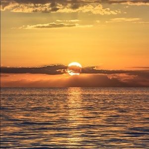 Meet your Posher, Dylan